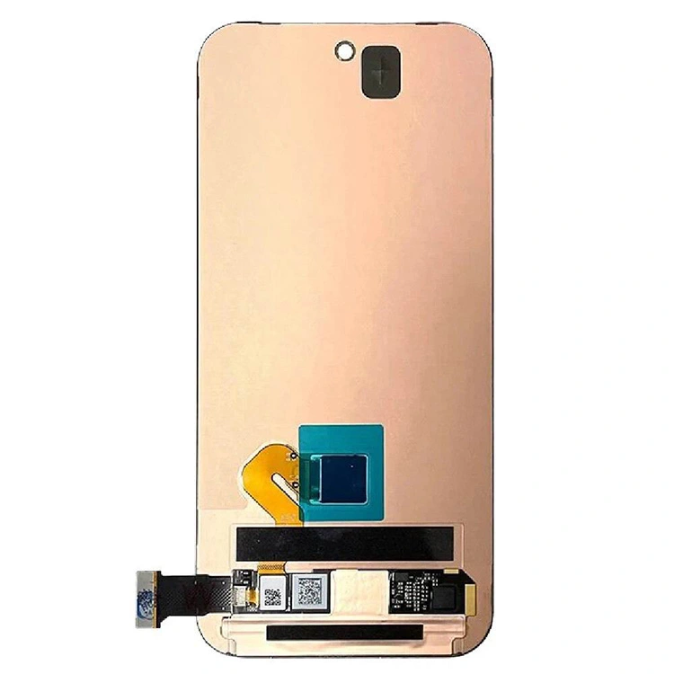 Skrin Pixel 9 LCD