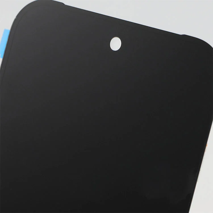 Skrin Pixel 9 Pro LCD